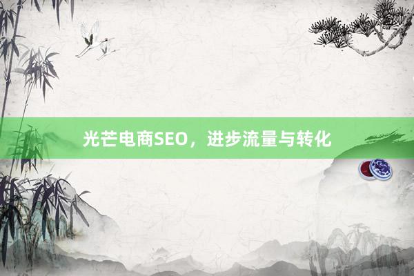 光芒电商SEO，进步流量与转化