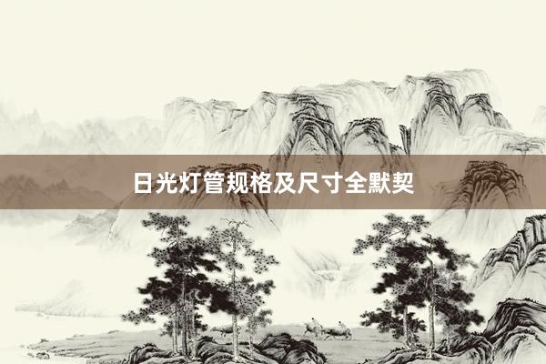 日光灯管规格及尺寸全默契